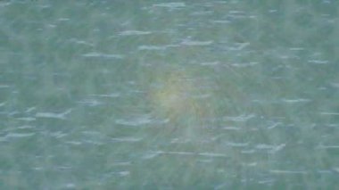 Lüks hareket projeleri için soyut tasarım stili animasyonu olan üst düzey dijital doku