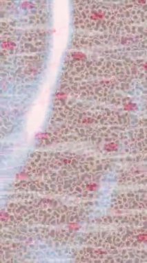 Benzersiz dijital animasyon tarzı grafikleri olan yaratıcı ortam tasarımı için yenilikçi hareket dokusu