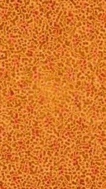 Profesyonel video projeleri sanat tarzı için organik hareketli arkaplan tasarımı