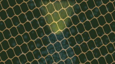 Profesyonel video projeleri sanat tarzı için organik hareketli arkaplan tasarımı