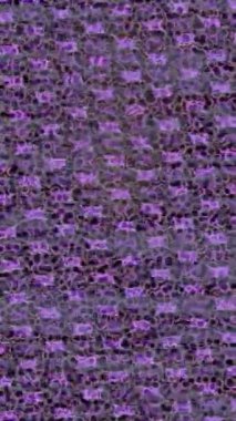 Lüks hareket projeleri için soyut tasarım stili animasyonu olan üst düzey dijital doku