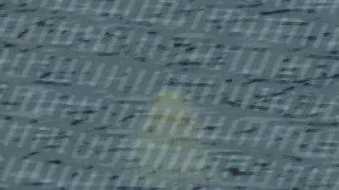 Yaratıcı video düzenleme film tasarımı için benzersiz hareket grafikleri biçimi giriş hareketi video pro