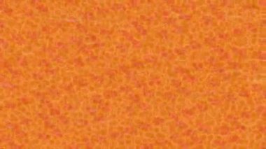 Benzersiz hareket grafikleri tasarım sanatına sahip yaratıcı film üretimi için özet bir arkaplan