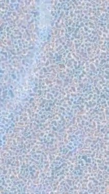 Benzersiz hareket grafikleri tasarım sanatına sahip yaratıcı film üretimi için özet bir arkaplan