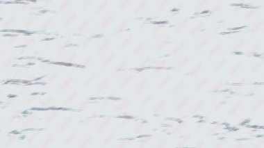 Lüks hareket projeleri için soyut tasarım stili animasyonu olan üst düzey dijital doku