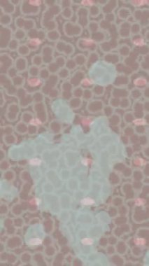 Dijital doku yüzey tasarım biçimi ile modern video animasyonu için gelişmiş hareket grafikleri