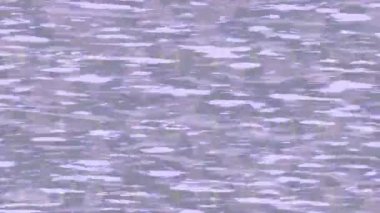 Yaratıcı video düzenleme film tasarımı için benzersiz hareket grafikleri biçimi giriş hareketi video pro