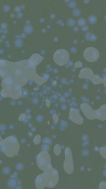 Benzersiz dijital hareket grafiklerine sahip yaratıcı sinematik projeler için yumuşak animasyon yüzeyi