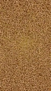 Profesyonel video projeleri sanat tarzı için organik hareketli arkaplan tasarımı