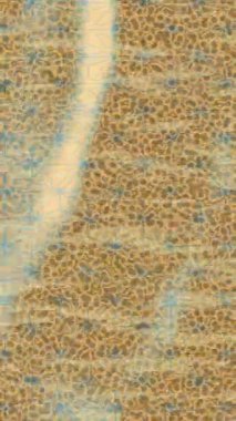 Dijital doku yüzey tasarım biçimi ile modern video animasyonu için gelişmiş hareket grafikleri