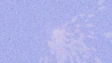 Benzersiz video giriş tasarımı projeleri için detaylı yüzey kalıbı film animasyon stili grafik girişi