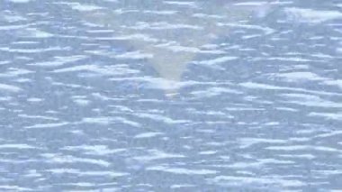 Benzersiz hareket dokusu tasarım sanatı ile profesyonel video düzenleme için modern soyut grafikler