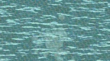 Soyut hareket desenli fütüristik video üretimi için dinamik dijital arkaplan