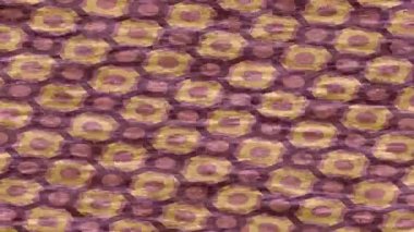 Yaratıcı video düzenleme film tasarımı için benzersiz hareket grafikleri biçimi giriş hareketi video pro