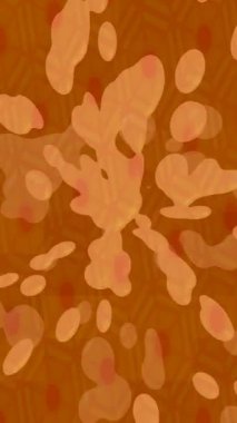 Yaratıcı video düzenleme film arkaplan tasarımı için minimalist organik hareket grafikleri