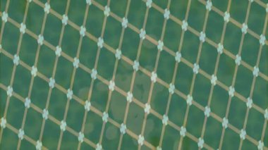 Benzersiz hareket dokusu tasarım sanatı ile profesyonel video düzenleme için modern soyut grafikler