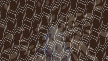 Benzersiz dijital hareket grafiklerine sahip yaratıcı sinematik projeler için yumuşak animasyon yüzeyi