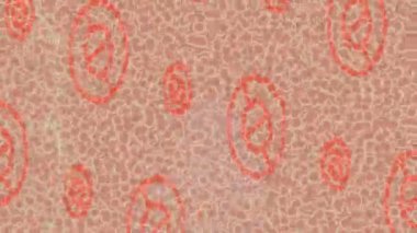 Organik desenli yüzey giriş stili video film sanatı ile soyut arkaplan tasarımı