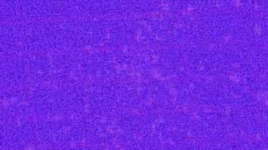 Benzersiz dijital animasyon tarzı grafikleri olan yaratıcı ortam tasarımı için yenilikçi hareket dokusu