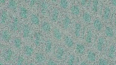 Dijital doku yüzey tasarım biçimi ile modern video animasyonu için gelişmiş hareket grafikleri