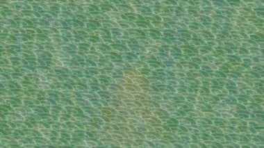 Benzersiz dijital animasyon tarzı grafikleri olan yaratıcı ortam tasarımı için yenilikçi hareket dokusu