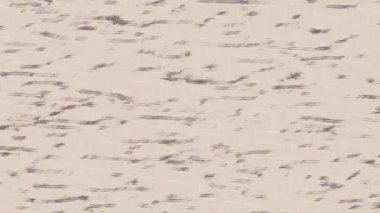 Benzersiz video giriş tasarımı projeleri için detaylı yüzey kalıbı film animasyon stili grafik girişi