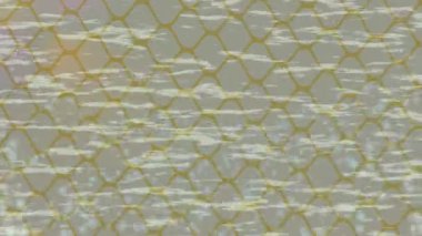 Organik desenli yüzey giriş stili video film sanatı ile soyut arkaplan tasarımı