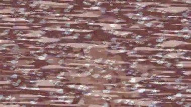 Benzersiz hareket dokusu tasarım sanatı ile profesyonel video düzenleme için modern soyut grafikler