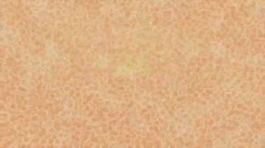 Benzersiz video giriş tasarımı projeleri için detaylı yüzey kalıbı film animasyon stili grafik girişi