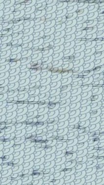 Yaratıcı video düzenleme film arkaplan tasarımı için minimalist organik hareket grafikleri