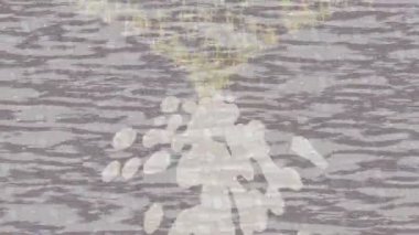 Benzersiz dijital hareket grafiklerine sahip yaratıcı sinematik projeler için yumuşak animasyon yüzeyi