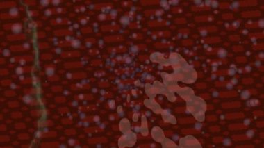 Organik desenli yüzey giriş stili video film sanatı ile soyut arkaplan tasarımı