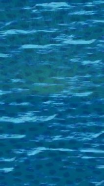 Soyut hareket desenli fütüristik video üretimi için dinamik dijital arkaplan