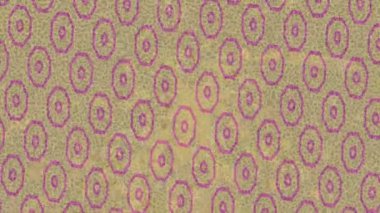 Modern medya üretimi için fütüristik dijital soyut doku sinematik tarz hareketli grafik ögesi