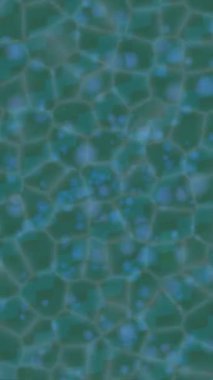 Lüks hareket projeleri için soyut tasarım stili animasyonu olan üst düzey dijital doku