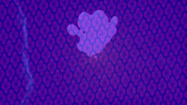 Yaratıcı video düzenleme film tasarımı için benzersiz hareket grafikleri biçimi giriş hareketi video pro