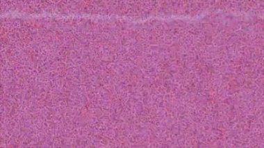 Benzersiz hareket grafikleri tasarım sanatına sahip yaratıcı film üretimi için özet bir arkaplan