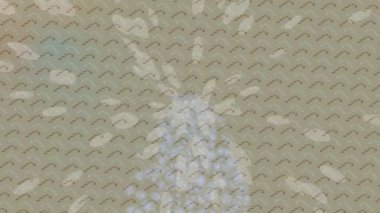 Yaratıcı video düzenleme film arkaplan tasarımı için minimalist organik hareket grafikleri