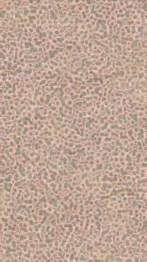 Dijital doku yüzey tasarım biçimi ile modern video animasyonu için gelişmiş hareket grafikleri