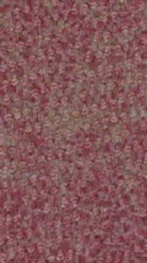 Yaratıcı video düzenleme film arkaplan tasarımı için minimalist organik hareket grafikleri