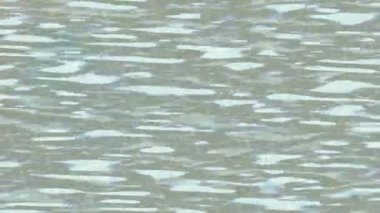 Benzersiz dijital hareket grafiklerine sahip yaratıcı sinematik projeler için yumuşak animasyon yüzeyi