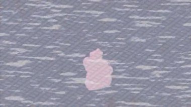 Yaratıcı video düzenleme film arkaplan tasarımı için minimalist organik hareket grafikleri