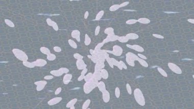 Yaratıcı video düzenleme film tasarımı için benzersiz hareket grafikleri biçimi giriş hareketi video pro