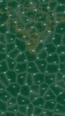 Soyut hareket desenli fütüristik video üretimi için dinamik dijital arkaplan