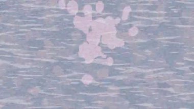 Benzersiz dijital animasyon tarzı grafikleri olan yaratıcı ortam tasarımı için yenilikçi hareket dokusu