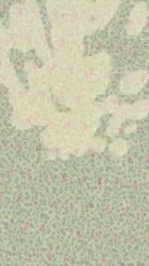 Dijital doku yüzey tasarım biçimi ile modern video animasyonu için gelişmiş hareket grafikleri