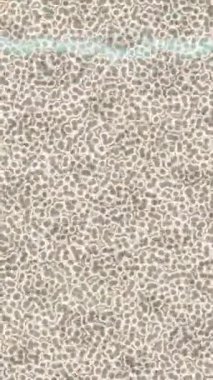 Benzersiz video giriş tasarımı projeleri için detaylı yüzey kalıbı film animasyon stili grafik girişi