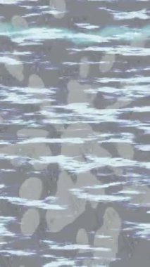 Yaratıcı video düzenleme film tasarımı için benzersiz hareket grafikleri biçimi giriş hareketi video pro