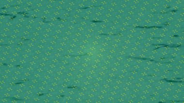 Yaratıcı video düzenleme film arkaplan tasarımı için minimalist organik hareket grafikleri