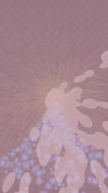 Benzersiz dijital hareket grafiklerine sahip yaratıcı sinematik projeler için yumuşak animasyon yüzeyi